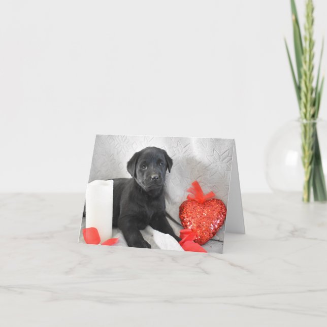 Labrador Puppy Valentines Day Card (Front)