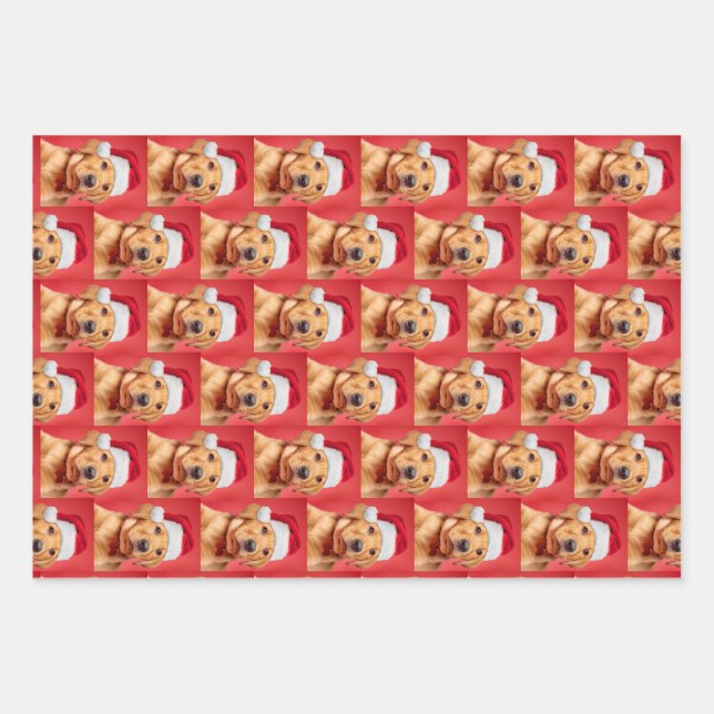 Labrador Puppy Variety Wrapping Paper Sheet (Front)