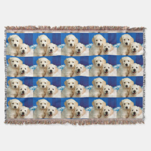 Labrador pups throw blanket