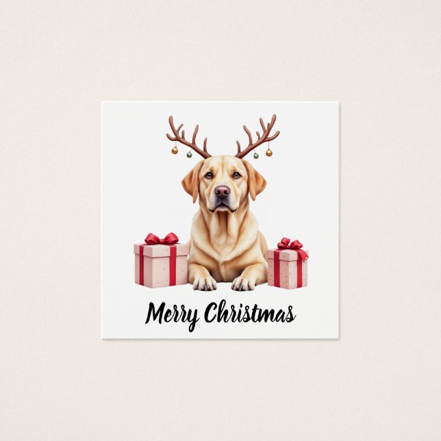 Labrador Reindeer (Front)