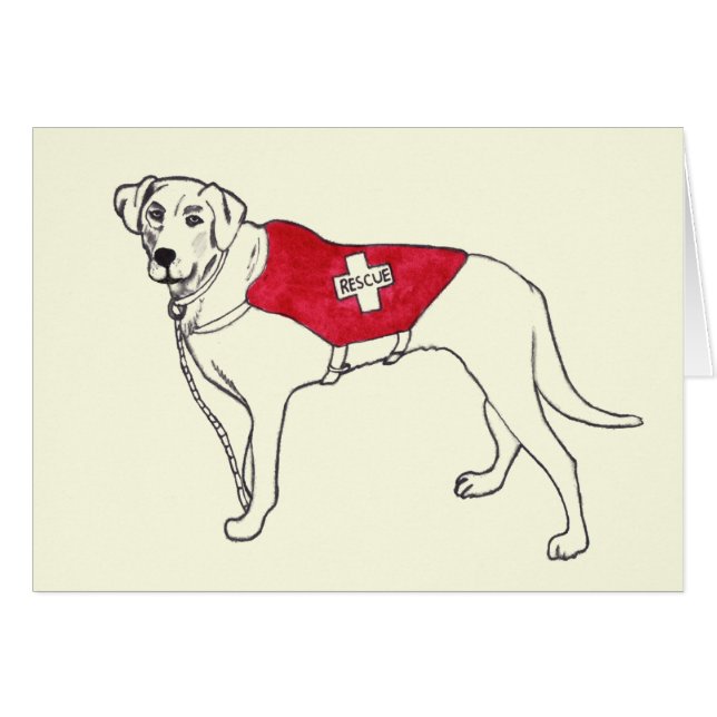 Labrador Rescue Dog Animal Drawing Art Get Well (Front Horizontal)