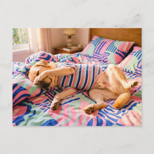 Labrador Resting on Colourful Bedspread Postcard