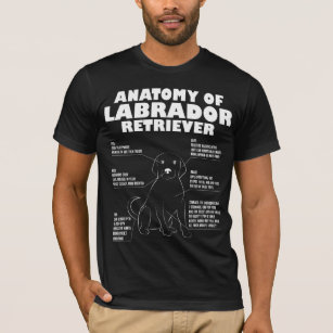 Labrador Retriever Anatomy Funny Dog owner Gift T-Shirt