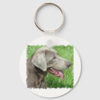 Labrador Retriever Apparel And Items Key Ring