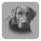 Labrador Retriever Awesome Sticker