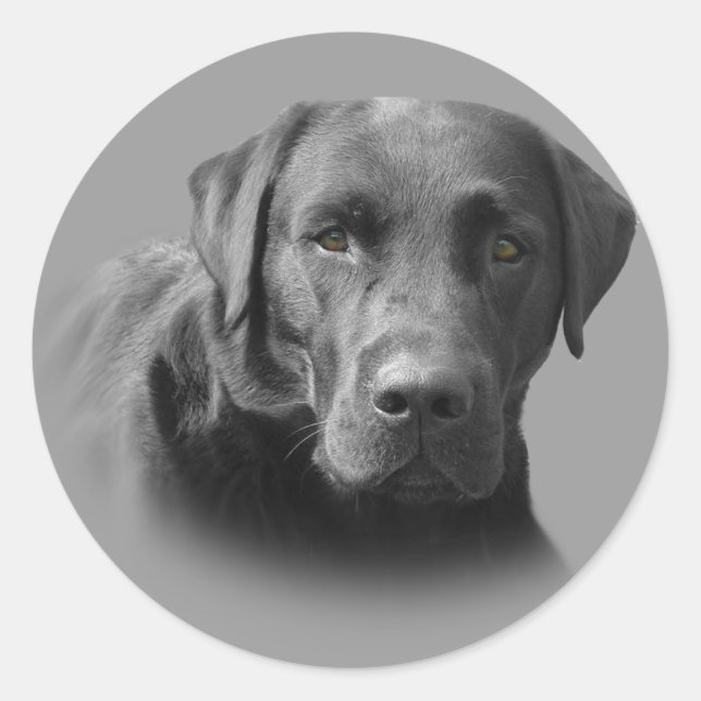 Labrador Retriever Awesome Sticker (Front)