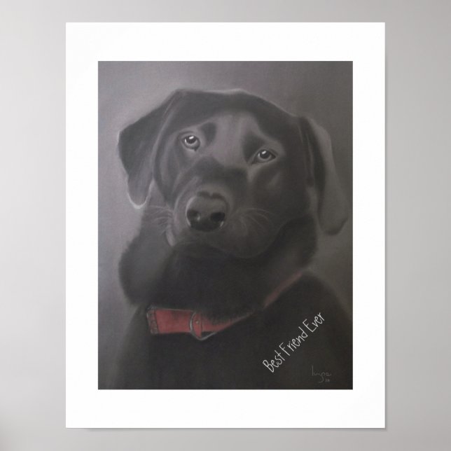 Labrador Retriever Best Friend Ever Poster (Front)