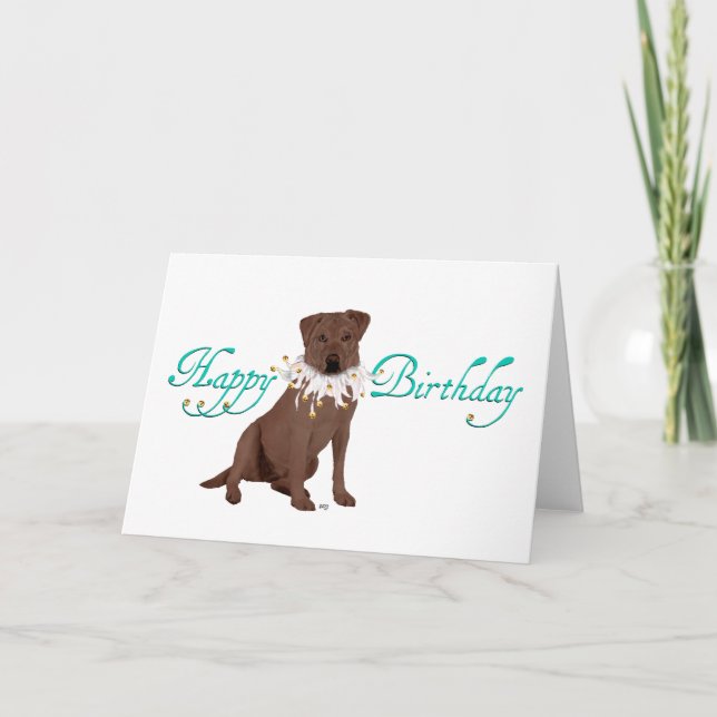 Labrador Retriever Birthday Greetings Card (Front)