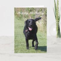 Personalised Black Labrador Dog Card Fathers Day Birthday