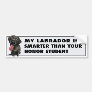 Labrador Retriever (Black) Honour Bumper Sticker