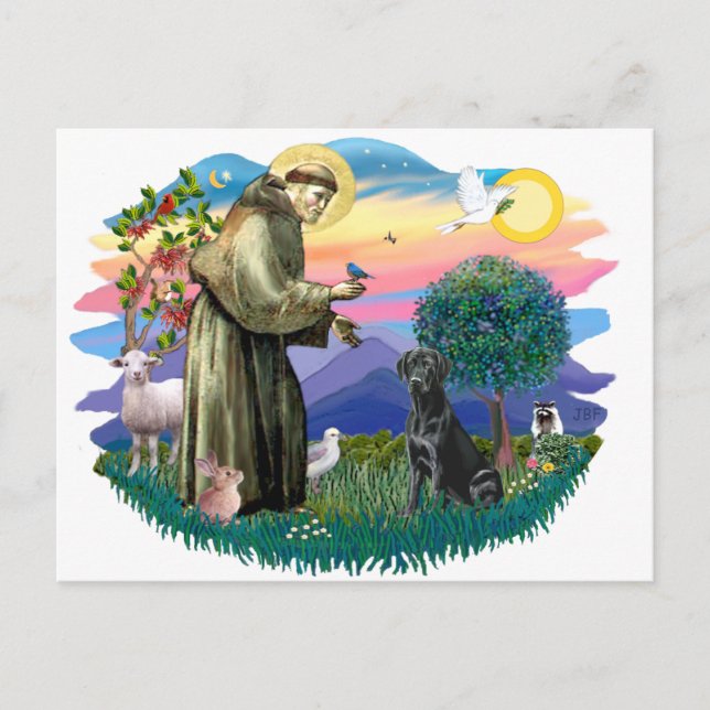 Labrador Retriever (black) Postcard (Front)