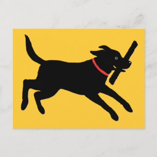 Labrador Retriever (Black) Postcard