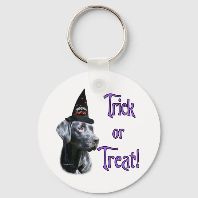 Labrador Retriever (black)Trick Key Ring (Front)