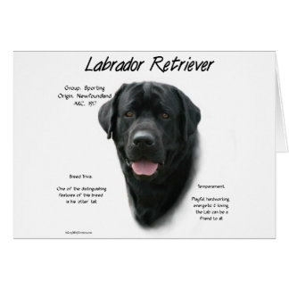 Labrador Retriever (blk) History Design