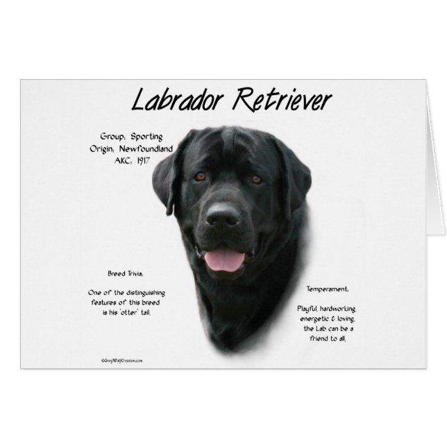 Labrador Retriever (blk) History Design (Front Horizontal)
