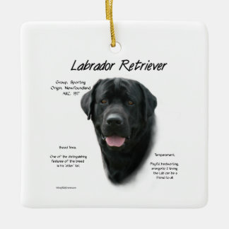 Labrador Retriever (blk) History Design Ceramic Ornament