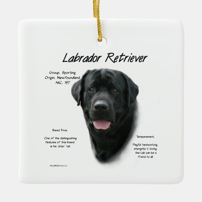 Labrador Retriever (blk) History Design Ceramic Ornament (Front)