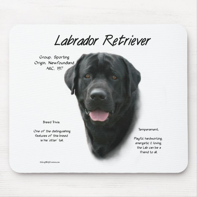 Labrador Retriever (blk) History Design Mouse Mat (Front)