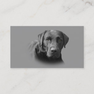 Labrador Retriever Breeder Business Card