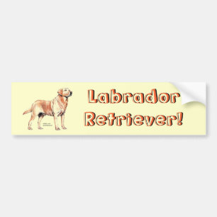 Labrador Retriever Bumper Sticker