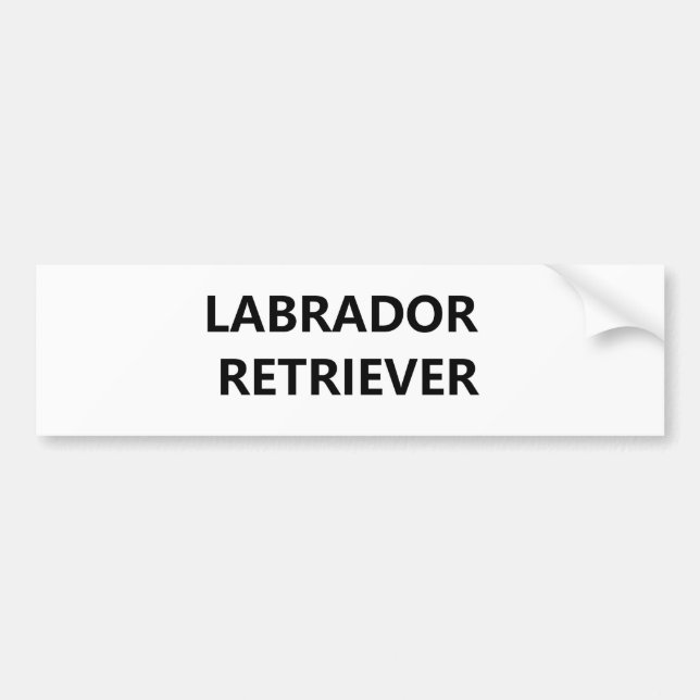 labrador retriever bumper sticker (Front)