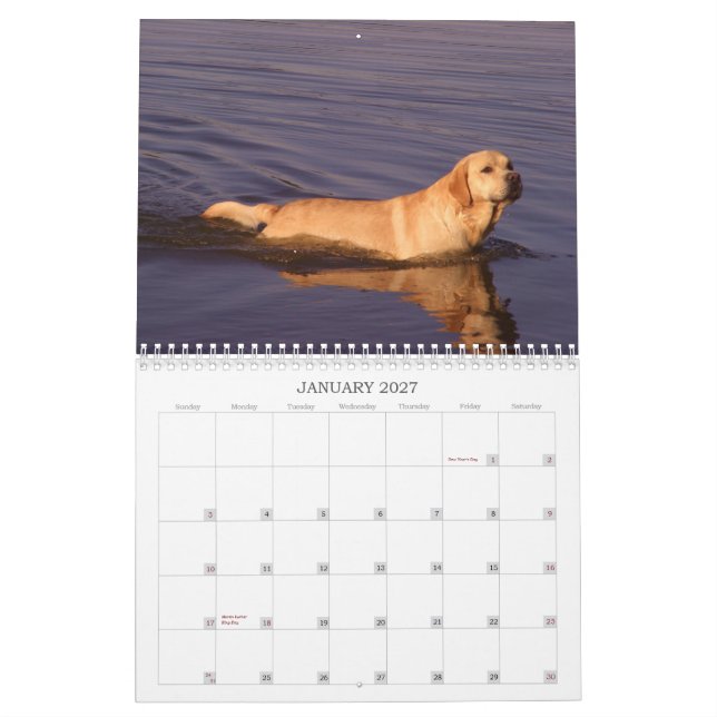 Labrador Retriever calendar  2011 (Jan 2027)