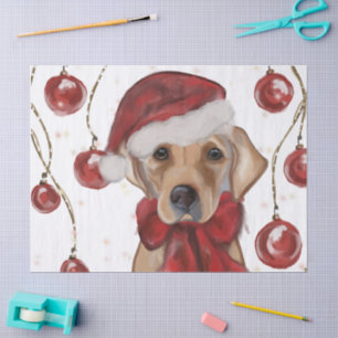 Labrador Retriever  Canvas Print Tissue Paper