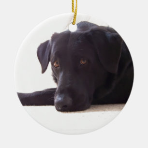 labrador retriever ceramic tree decoration