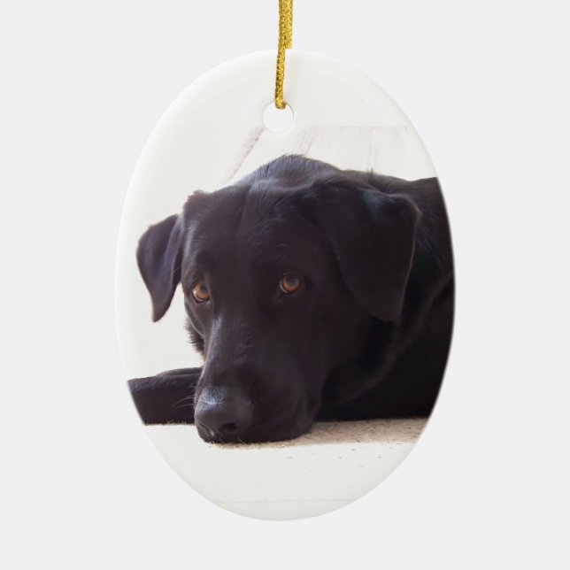 labrador retriever ceramic tree decoration (Front)