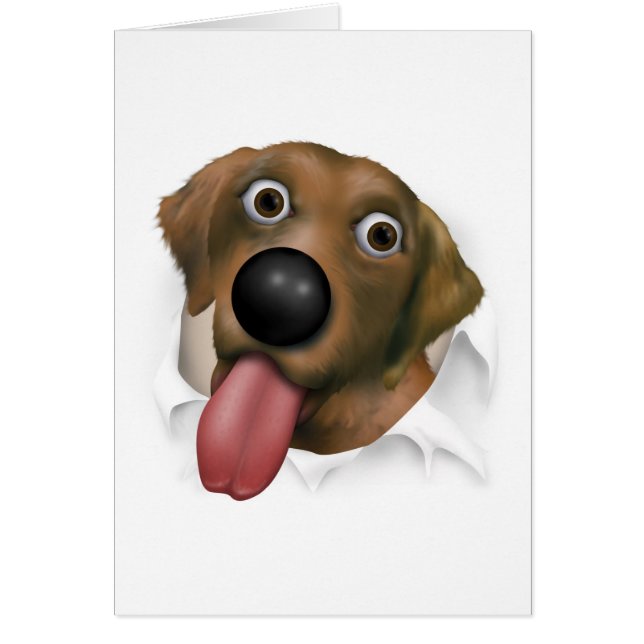 Labrador Retriever (Chocolate) Busting Out (Front)