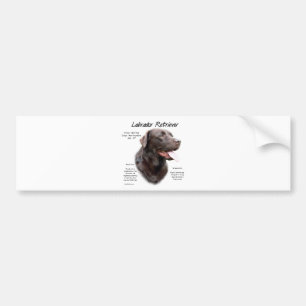 Labrador Retriever (chocolate) History Design Bumper Sticker