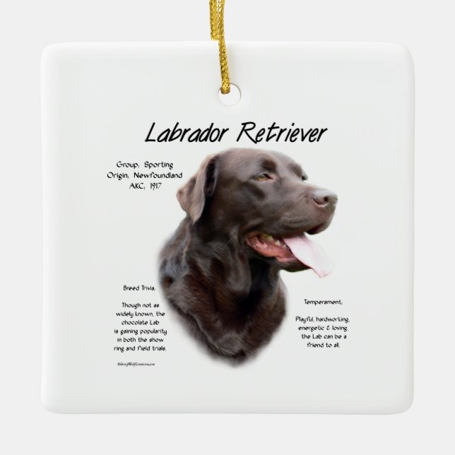 Labrador Retriever (chocolate) History Design Ceramic Ornament (Front)