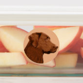 Labrador Retriever (Chocolate) Painting - Dog Art (Affixed)
