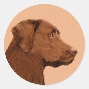 Labrador Retriever (Chocolate) Painting - Dog Art Classic Round Sticker