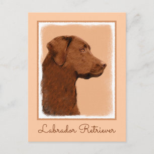 Labrador Retriever (Chocolate) Painting - Dog Art Postcard