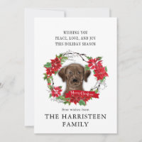 Labrador Retriever chocolate Poinsettia Christmas