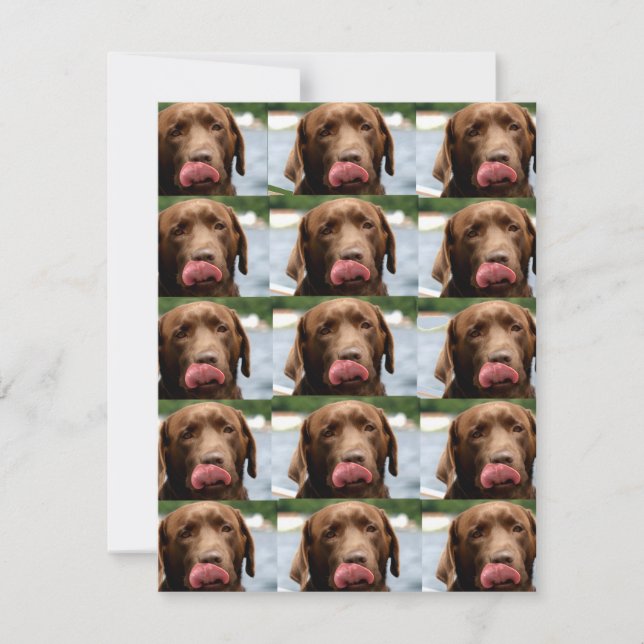 Labrador Retriever Chocolate Tiles BG Card (Front)