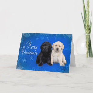 Labrador retriever christmas card