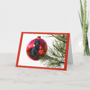 Labrador Retriever  Christmas Card Ball Hanging8