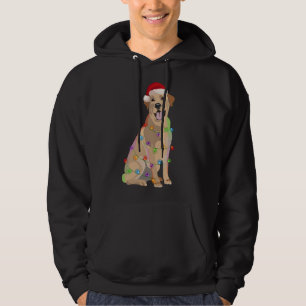 Labrador Retriever Christmas Lights Xmas Dog Lover Hoodie