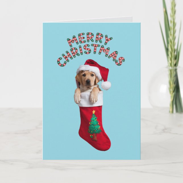Labrador Retriever Christmas Stocking Card (Front)