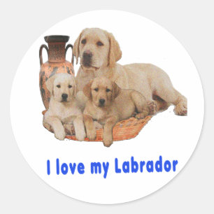 Labrador Retriever Classic Round Sticker