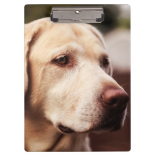 Labrador Retriever Clipboard
