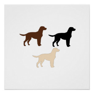 labrador retriever colour silhouettes poster