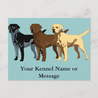 Labrador Retriever colours Postcard