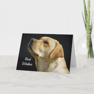 Labrador Retriever Congratulations Wedding Card
