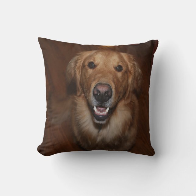 Labrador retriever cushion (Front)