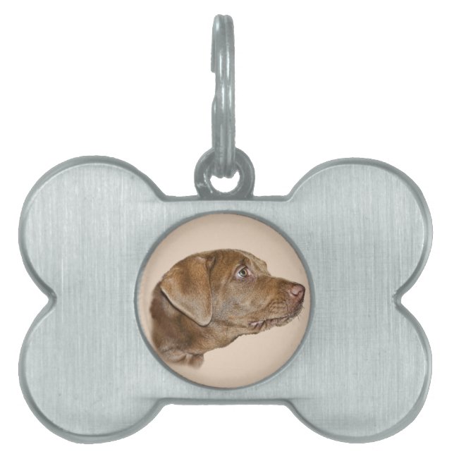 Labrador Retriever Customisable Dog Tag (Front)