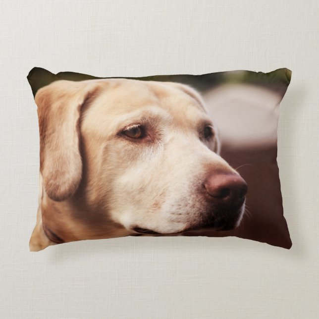 Labrador Retriever Decorative Cushion (Front)