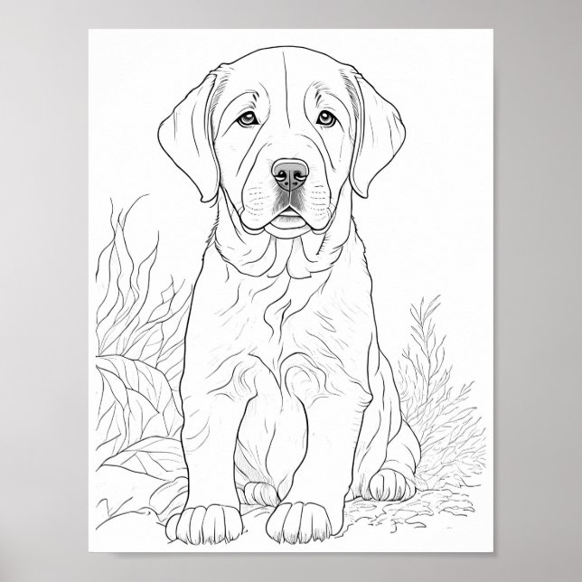 Labrador Retriever Dog Adult Colouring Poster (Front)